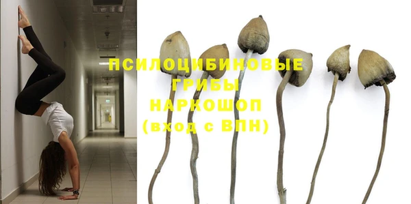 каннабис Абаза