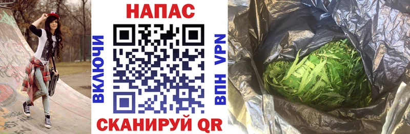 Бошки Шишки SATIVA & INDICA  купить закладку  Шилка 